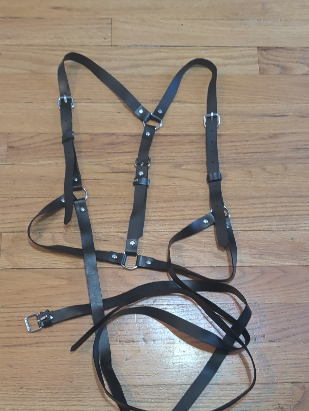 Black Leather Harness